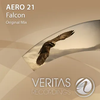 Falcon by Aero 21