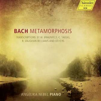 Bach: Metamorphosis by Angelika Nebel