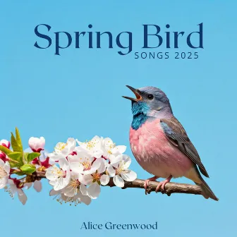 Spring Bird Songs 2025 by Alice Greenwood