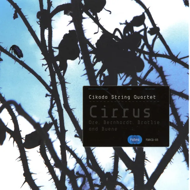 Cecilie Ore: Cirrus