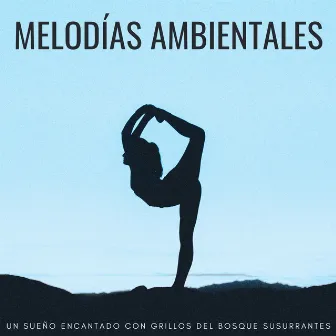 Melodías Ambientales: Un Sueño Encantado Con Grillos Del Bosque Susurrantes by Música para dormir de la nueva era