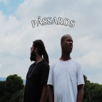 Pássaros by Tião