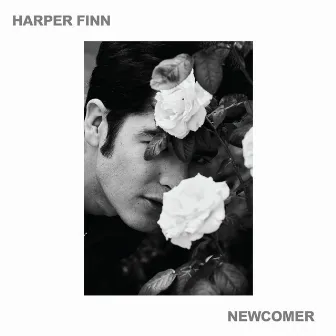 Newcomer by Harper Finn