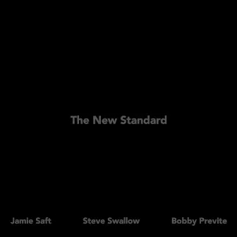 The New Standard by Jamie Saft