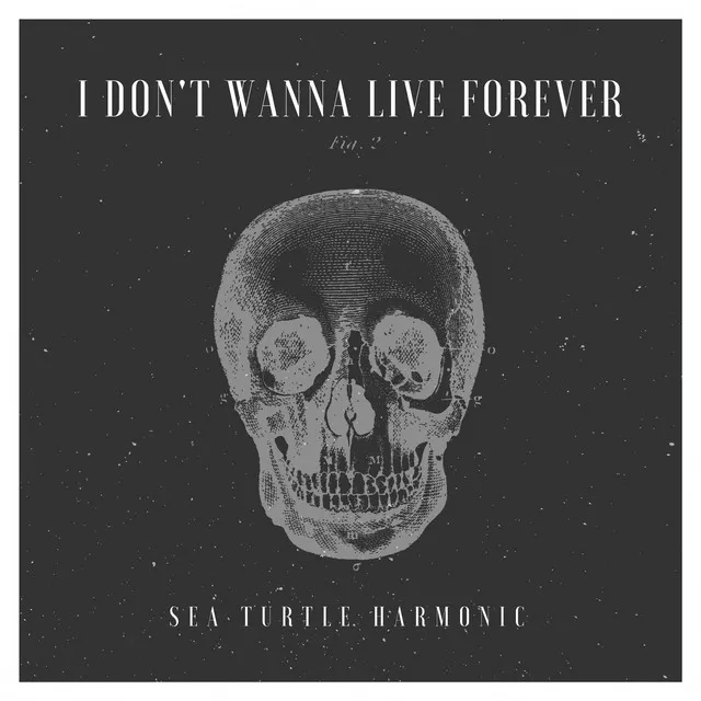 I Don't Wanna Live Forever (From "Fifty Shades Darker")