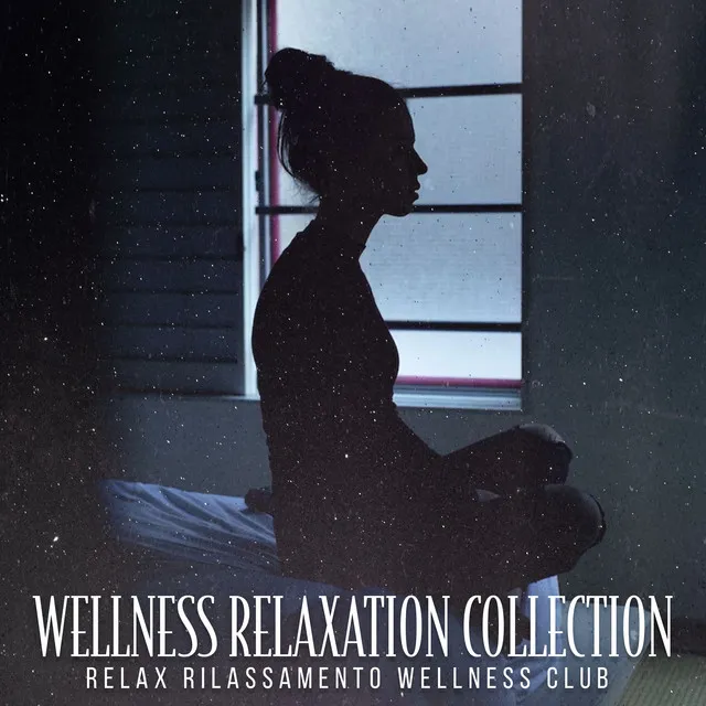 Wellness Relaxation Collection