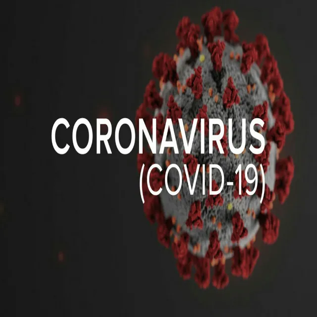 Covid 19 Corona Virus (Acoustic)