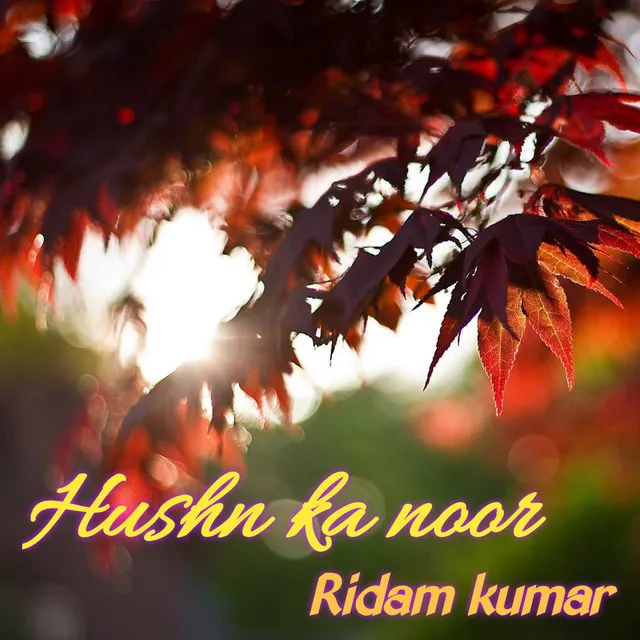 Hushn Ka Noor