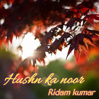 Hushn Ka Noor by Hemant Parashar