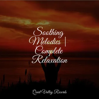 Soothing Melodies | Complete Relaxation by Amazing Spa Music