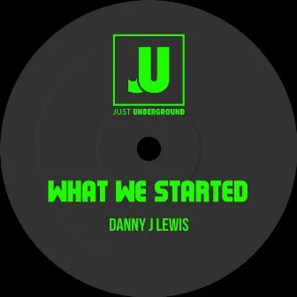 What We Started (Radio Edit) by Danny J Lewis