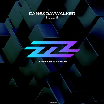 Feel It by CANE&DAYWALKER