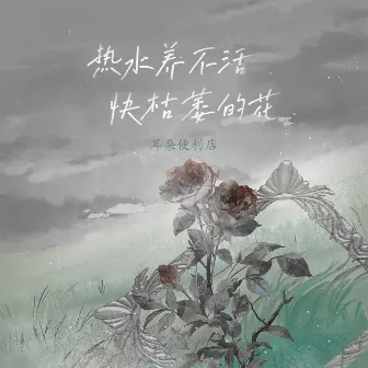 热水养不活快枯萎的花 by 耳朵便利店