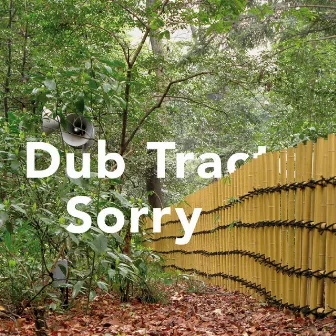 Sorry by Dub Tractor