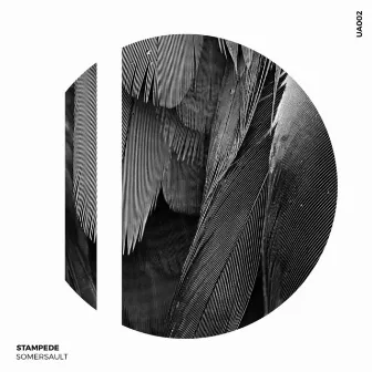 Stampede by Somersault