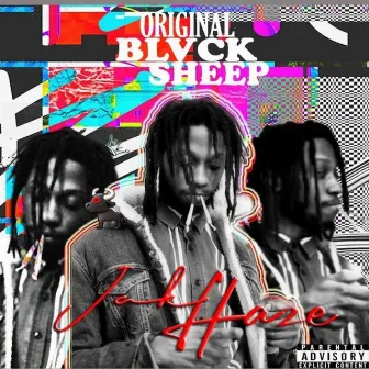 ORIGINAL BLVCK SHEEP by Jak Haze