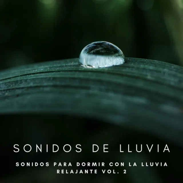 Sonidos De Lluvia: Sonidos Para Dormir Con La Lluvia Relajante Vol. 2