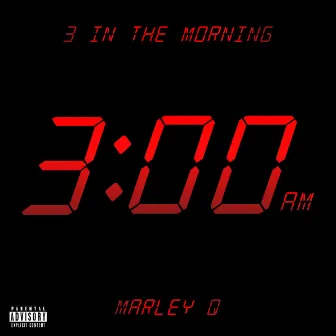 3 in the Morning by Marley Q