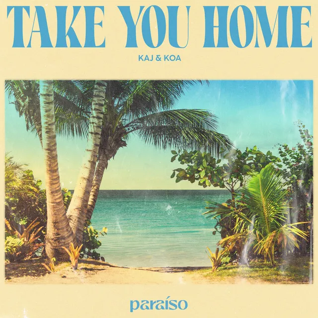 Take You Home