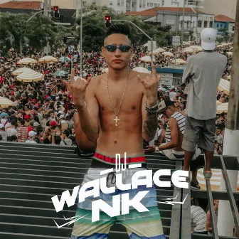 EU TO GOSTANDO DE UMA PROSTITUTA by DJ Wallace NK