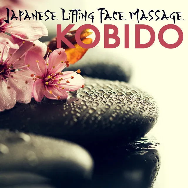 Japanese Healing Massage