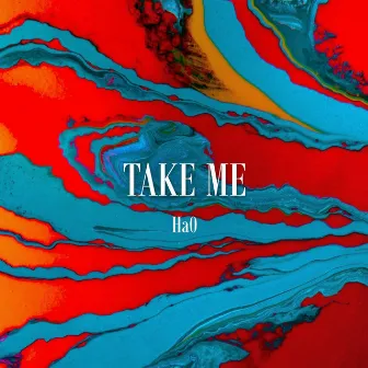 TAKE ME by Ha0