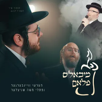 Michoel’s Flam by Naftali Schnitzler