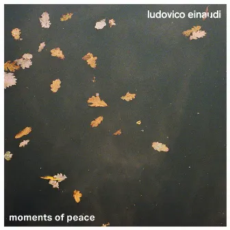 Moments of Peace by Ludovico Einaudi