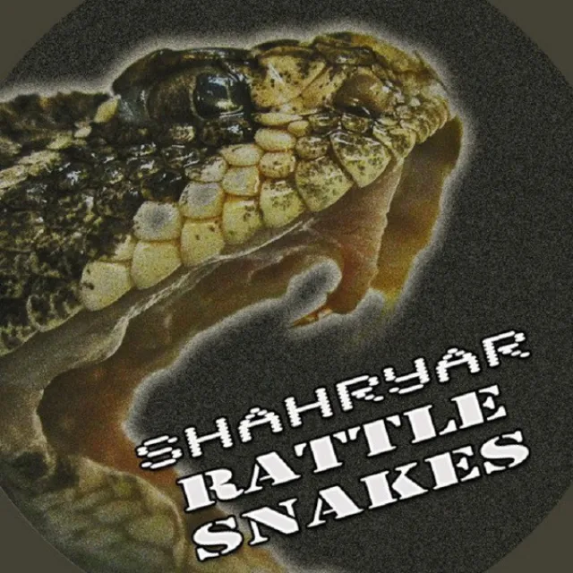 Rattle Snakes - Original Mix