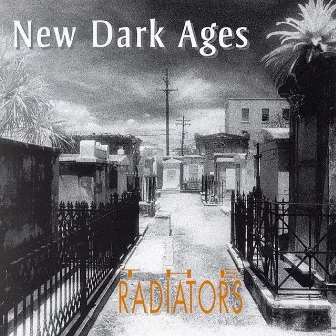 New Dark Ages by The Radiators