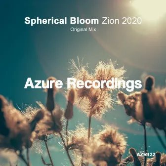 Zion 2020 by Spherical Bloom