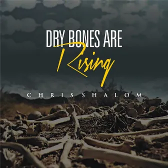 Dry Bones Are Rising by Chris Shalom