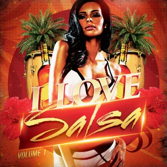 I Love Salsa (20 Tracks of Pure Salsa Music) by Salsa All Stars