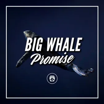 Big Whale Promise by Deep Sleep