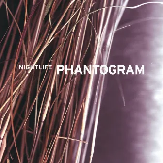 Nightlife by Phantogram