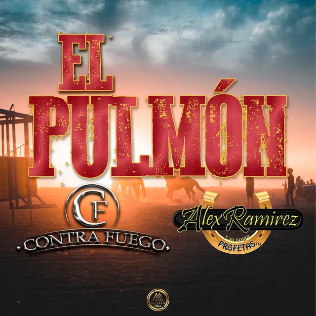 El Pulmón