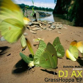 Grasshoppa by DJ Ax