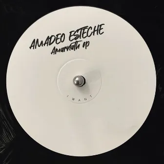 Amarnath EP by Amadeo Esteche