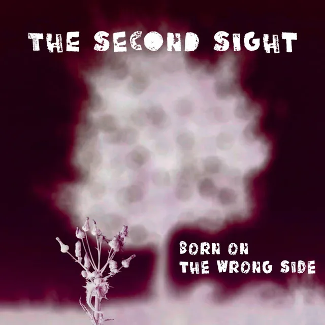 Born on the Wrong Side - Radio Edit