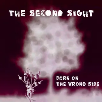 Born on the Wrong Side by The Second Sight