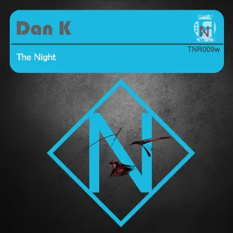 The Night by Dan K