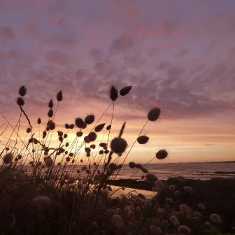 Sea Waves Sound. Relaxing Calm Water Sounds by Calm Sea Sounds