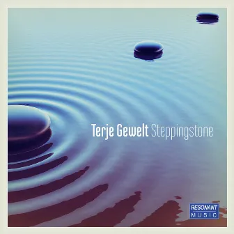 Steppingstone by Terje Gewelt