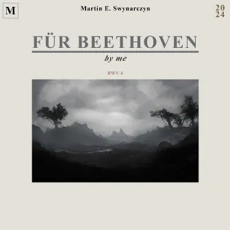 Für Beethoven by Martín Swynarczyn