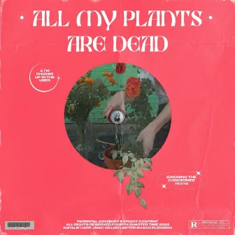 All My Plants Are Dead by Natalie Carr