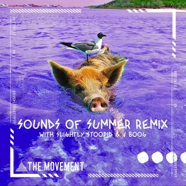 Sounds of Summer (with Slightly Stoopid & J Boog) - Remix