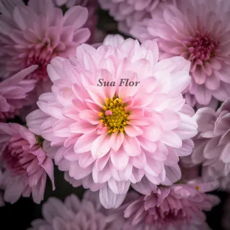 Sua Flor by Humberto Montoya