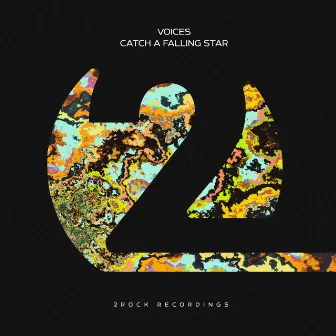 Catch A Falling Star by Voices