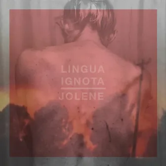 Jolene by Lingua Ignota