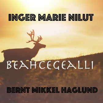 Beahcegealli by Inger Marie Nilut